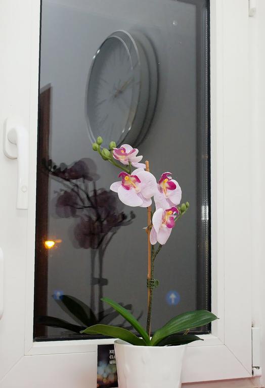 Fancy 1Bd Family Friendly In Historical Centre Appartamento Bucarest Esterno foto
